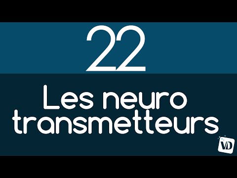 Vidéo: Pourquoi les neurotransmetteurs sont-ils importants ?