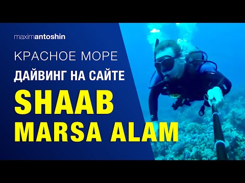 Дайвинг на сайте