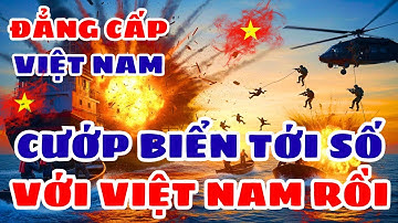 Cướp Biển Tấn Công Tàu Gạo VIỆT NAM - Đặc Nhiệm Việt-Mỹ Đổ Bộ Nghẹt Thở