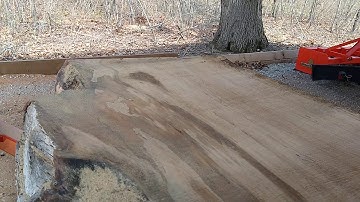 Beautiful Spalted Maple Log