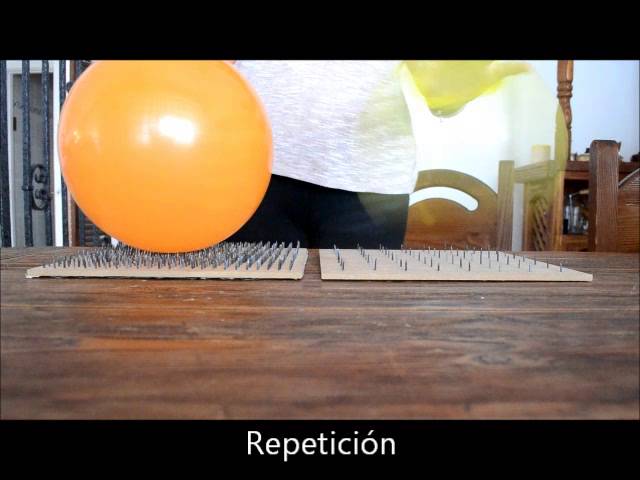 Experimento Cama De Clavos - YouTube