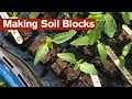 Making Soil Blocks