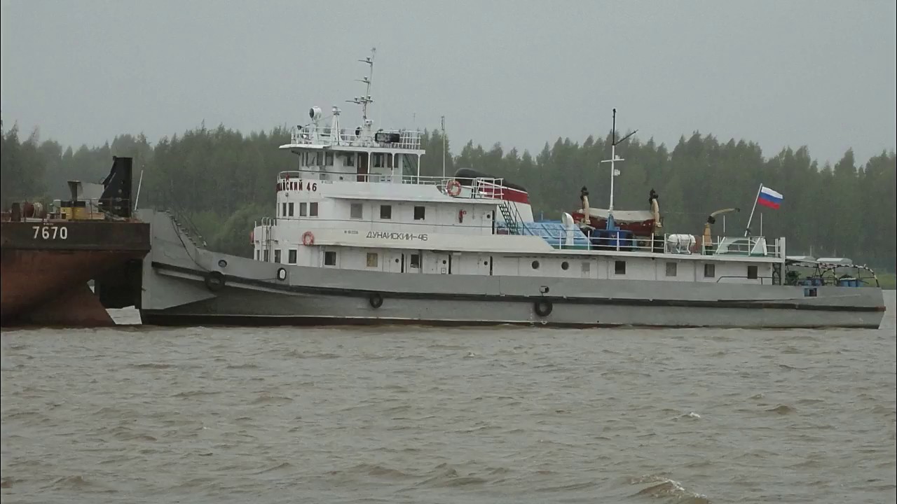 Кия дунайский 25
