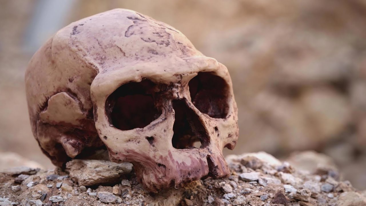 Sudbonosni planet - Doba čovjeka - 5 od 5