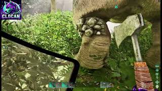 Taming 145 Gacha and Fast and Easy! (PvP Official Servers)