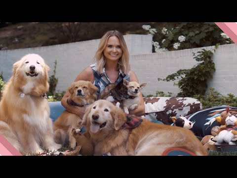 Video: Dieses personalisierte Hunde Storybook ist ein Pawesome Geschenk für Ihre Kinder