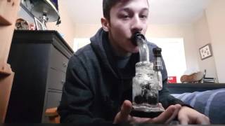 Strain Review - Lemon Haze