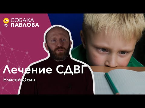 Лечение СДВГ Елисей Осин // информирование, изменение требований, фармакология, комфортная среда