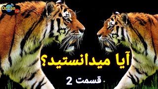 10 دانستنی تازه سریع: آیا میدانید |Onten plus آنتن پلس