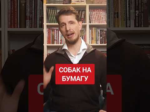 В Татарстане всех собак на бумагу... #новости #лебедев #госдума #политика