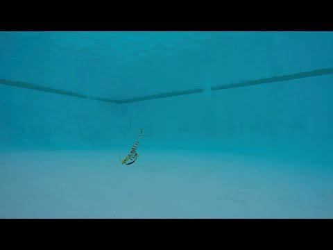 Savage Gear 3D Shrimp Review (Plus Underwater Footage) 