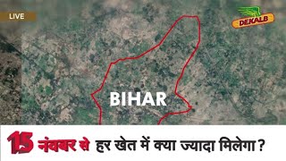 Dekalb 9165 Corn Seeds Achieve Maximum Yield With Top Performance Seeds Hindi Bayer