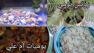 روتين يومي||نضفنا حوض السمج (وياريت منضفنا)