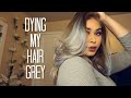 Dying My Hair Grey At Home I L'Oreal Feria Smokey Blue Box Dye