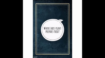 EVS 3 STD BLOOMING AND SPROUTING