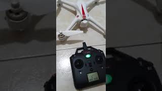 Bugs 2 problem