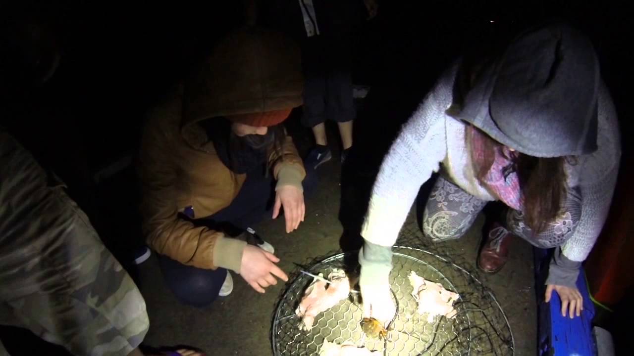 Lake Entrance Night Crabbing YouTube
