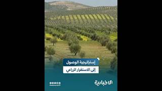 وزير الزراعة متحدثاً عن رؤية إستراتيجية للوصول إلى الاستقرار الزراعي