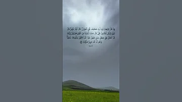 وإذا قال إبراهيم رب أرني كيف تحي الموتي القارئ محمد ديبيروف تلاوات جميلة 