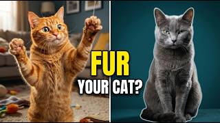 Is Your Cat’s Personality Hidden in Their Fur 🐱 (The Truth)