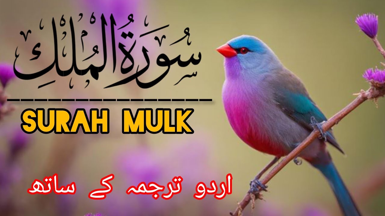 Surah-Al-Mulk سورة الملك|full with Urdu translation|(Awais Quran official) Quran pak ki video