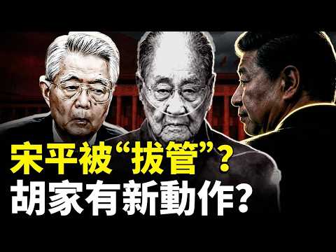 宋平是被“拔管”的嗎？胡錦濤兒子有新安排？X李老師被中共特務監視，意大利政府遣返！對“鞋子”的態度，川普與習大不同｜新聞拍案驚奇
