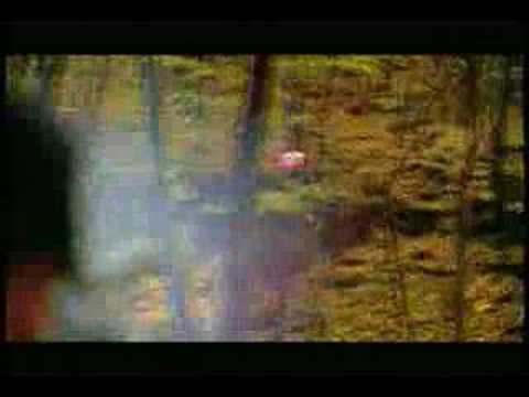Sporting Clays - Golf with a Shotgun?