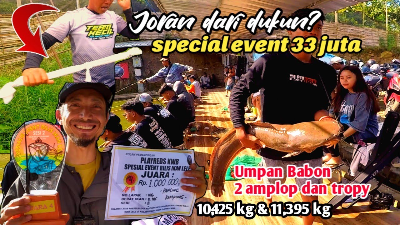 umpan penghantar 2 amplop dan Trophy! Event hadiah 16 juta. Umpan lele babon. Mancing