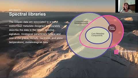 Metadata for a spectral library on snow and ice and FAIR principles