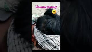 indian streetfoodstreetfoodindia streetfood yammyrecipes foryou funnyvideo