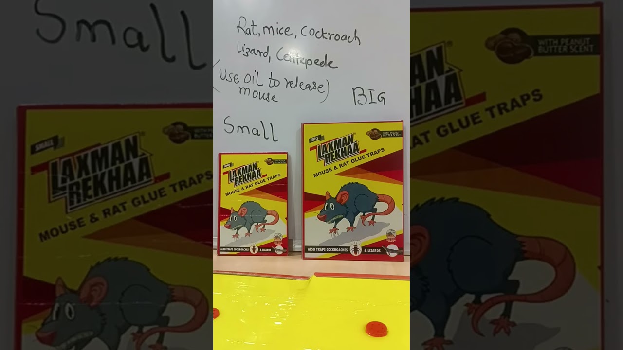 NO SPRAY, Instant Catch!  Laxmanrekhaa trap Kitchen safety guaranteed. 