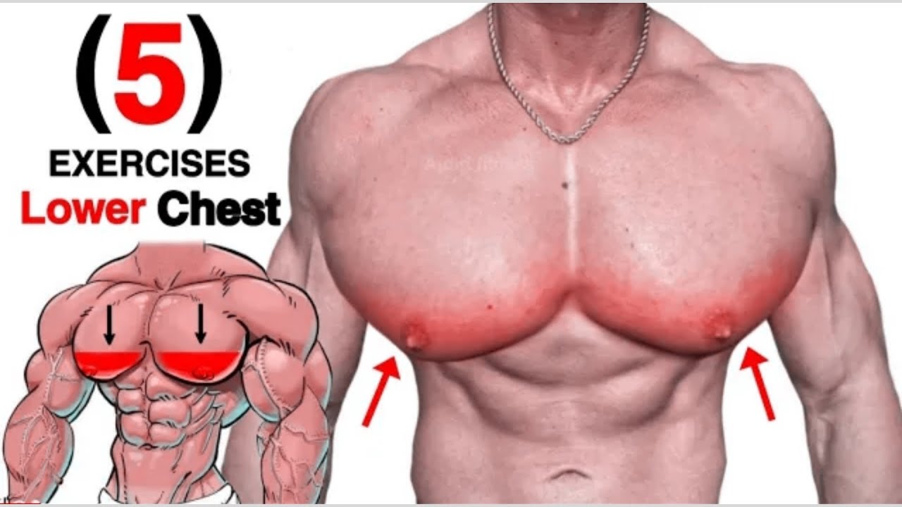 How to build a wider lower chest - Lower Chest Workout