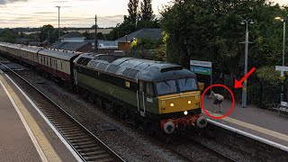 Cracking Class 47 Action 25/07/2025