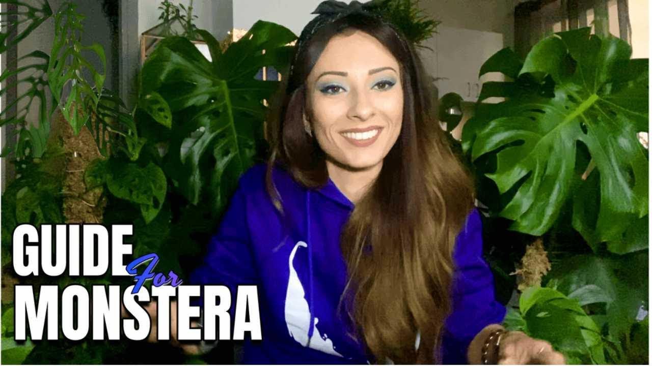 РУКОВОДСТВО ДЛЯ MONSTERA 🌿 КАК УХОД ЗА РАСТЕНИЯМИ, НЕ УБИВАЯ ИХ 😆
