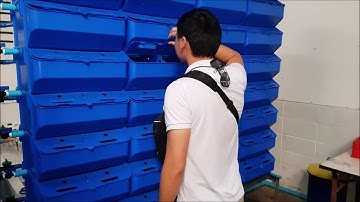 Aquaplanet Vertical Mud Crab Farm with Comparison Model