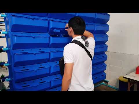 Aquaplanet Vertical Mud Crab Farm with Comparison Model