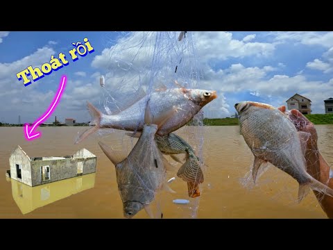 Video Một Ngày Đánh Cá Bội Thu Và Thăm Bể Ao Tù Nơi Nhà... - youtube