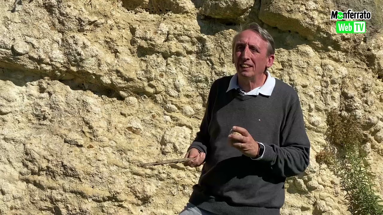 Il Geopercorso di Rosignano Monferrato - 