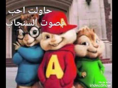 محمد الفارس حاولت احب غيرك وجرب هاية بصوت السنجاب2020