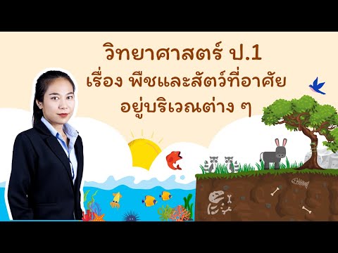 วีดีโอ: พืชพึ่งพาสัตว์อย่างไร?