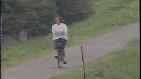 A Day in the Life of a CIR (1990)