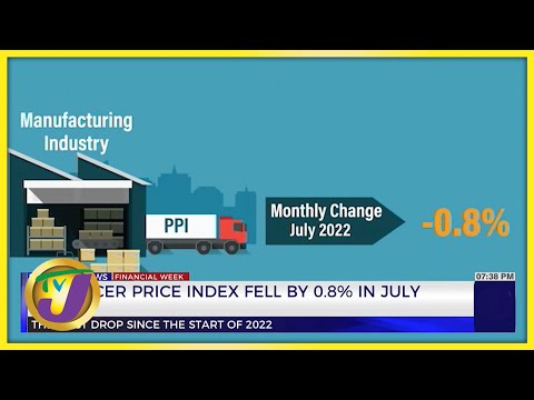 Producer Price index Fell by 0.8% in July | TVJ Business Day - Aug 26 2022