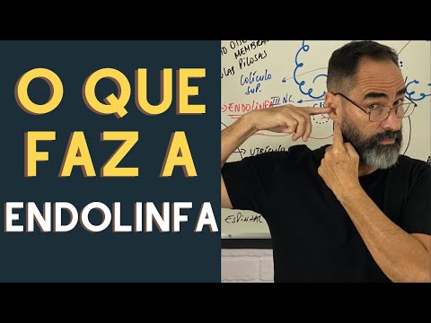 Vídeo: Onde está localizado o ducto endolinfático?