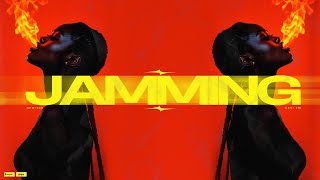 Free Dancehall Type Beat X Moombahton Type Beat - Jamming