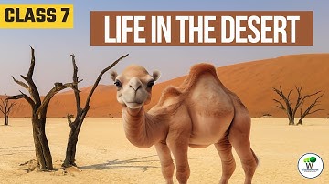 NCERT Class 7 Geography Chapter 7 Life in the Desert
