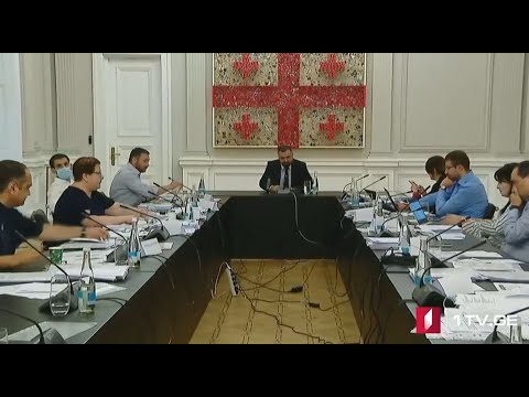 ცესკო-ს თავმჯდომარისა და წევრების შესარჩევად კანდიდატებთან გასაუბრება -იმედა კლდიაშვილი