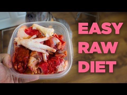 awesome-pmr-diet-for-dogs---how-to-raw-feed-a-cane-corso