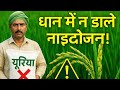 🌾 "धान की खेती: 55-60 दिन पर नाइट्रोजन डालने की बड़ी गलती"
