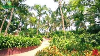 MAYFAIR Palm Beach Resort, Gopalpur-on-sea - Immaculate Views of the Sea