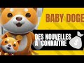 Baby doge  prparation en cours dune chose de valeur